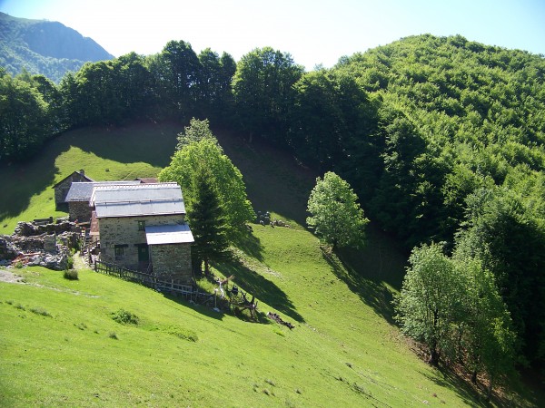 Sentiero Grondo di Rimella - Alpe Colma - Belvedere di Fobello 